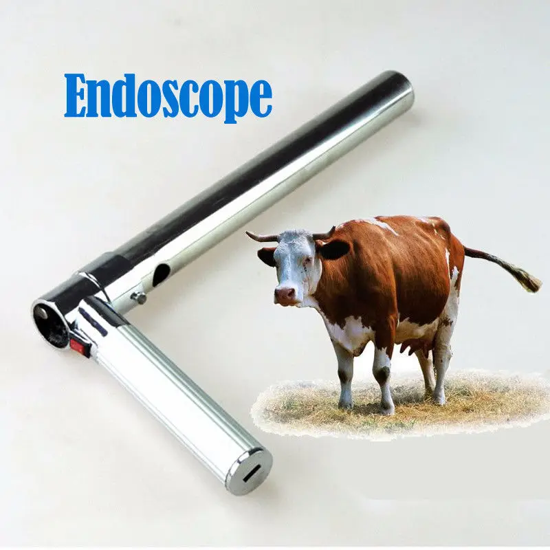 

Endoscop Examination of Insemination Endoscope for Cattle Insemination