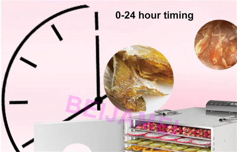 fruit dryer price