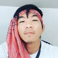 v***n
