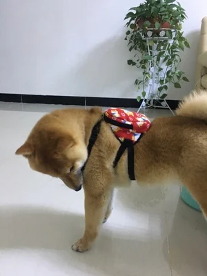 00