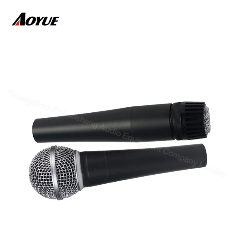 microphone (12)