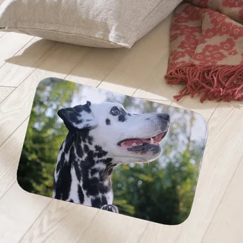 

Fashion animals printing Home Decorative Front Door Mat Flannel Anti-Slip Floor Mat Carpet Entrance Doormat Rug doormat 40x60cm