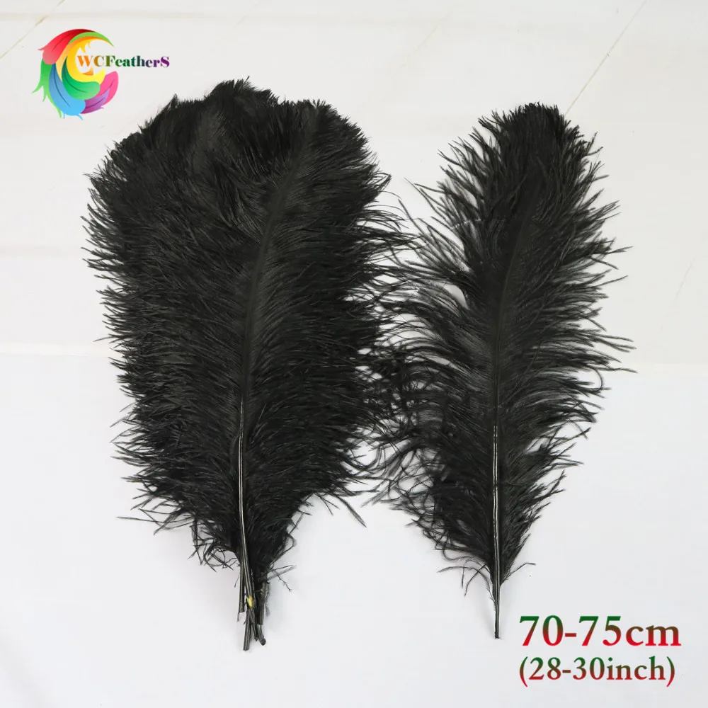  70-75cm  3