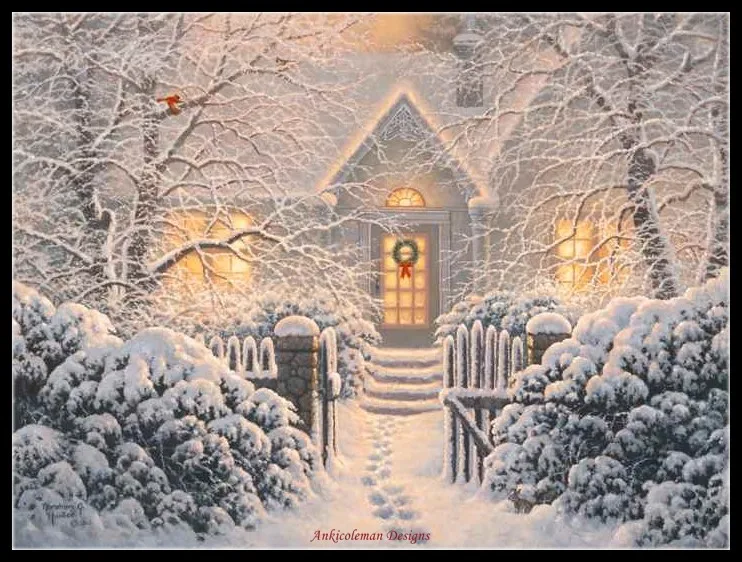 

Counted Cross Stitch Kits Needlework Embroidery - Crafts 14 ct Aida DMC Color DIY Arts Handmade Home Decor - Winter Wonderland