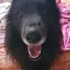 d***n
