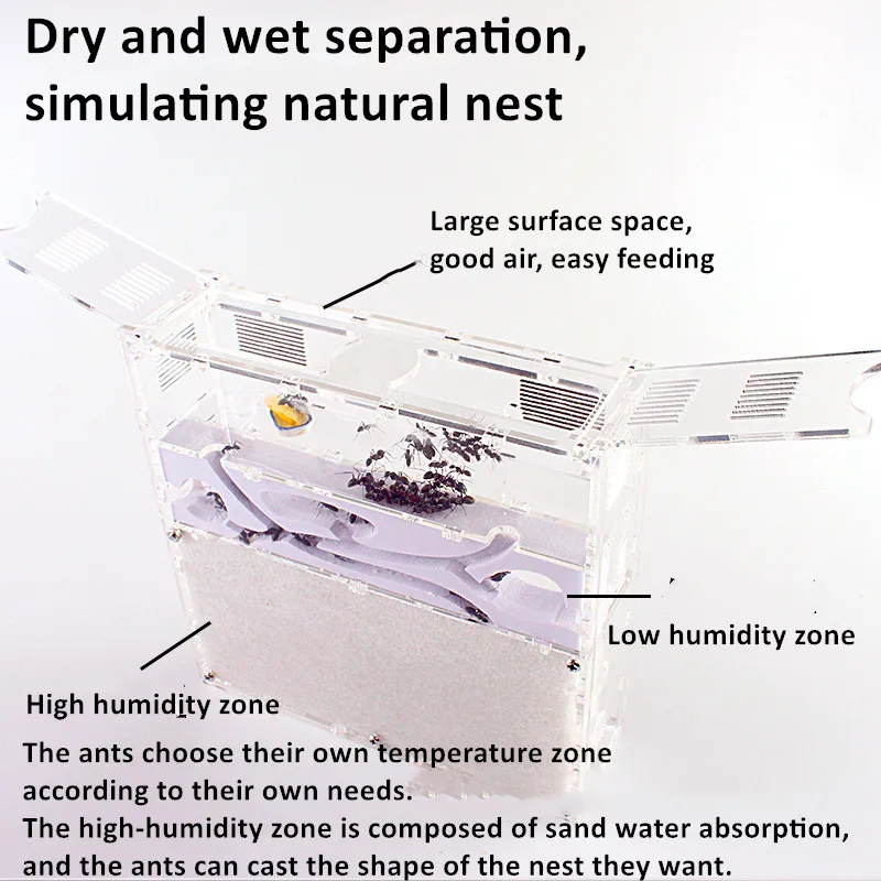 Муравей акриловый комбо с гибридным песком гнездо муравья фермы Formicarium для муравья корпус