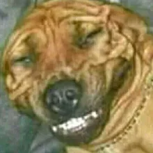 E***s