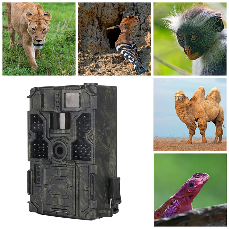 

Skatolly TCM16M Outdoor Hunting Camera 90 Degrees PIR Sensor Infrared Night Vision HD Cameras Hunting Scouting Stealth Camera