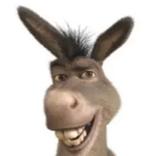 G***i