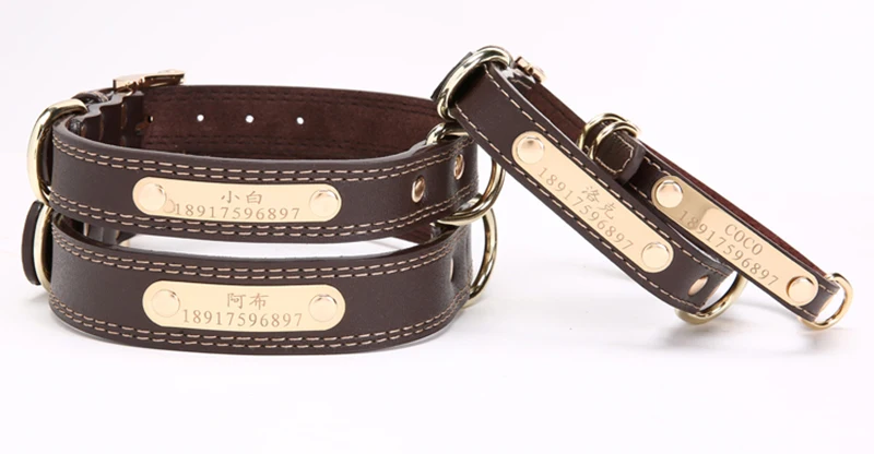 Collar (4)