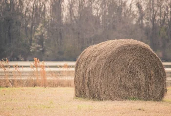 

Laeacco Rural Farm Field Hay Bale Photography Backgrounds Customized Photographic Backdrops For Photo Studio