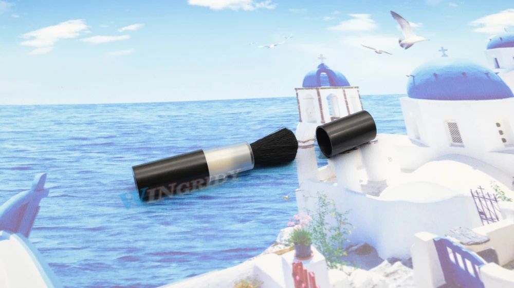 -Camera cleaning telescopic brush (9)
