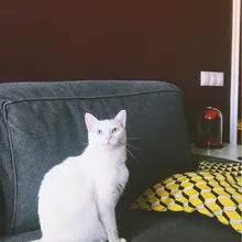 f***f