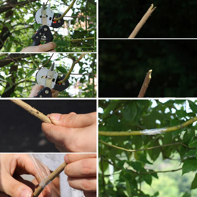 

Garden Nursery Fruit Tree Pro Pruning Shears Scissor Grafting Cutting Tools