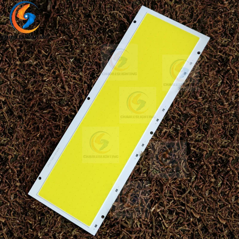 

CHARLES LIGHTING Ultra Brightness COB LED Chip 280*100MM 200W Light Source For DIY Bulbs Outdoor light