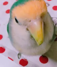 m***g