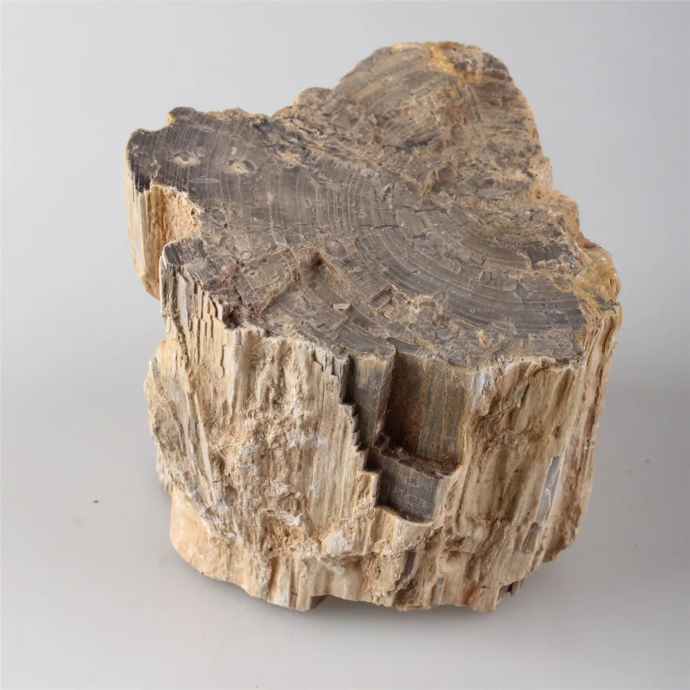 Природный необработанный камень окаменевший деревянный камень Аквариум Ландшафтный горный камень украшение аквариума бонсай Ландшафтная водная трава