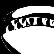 v***v