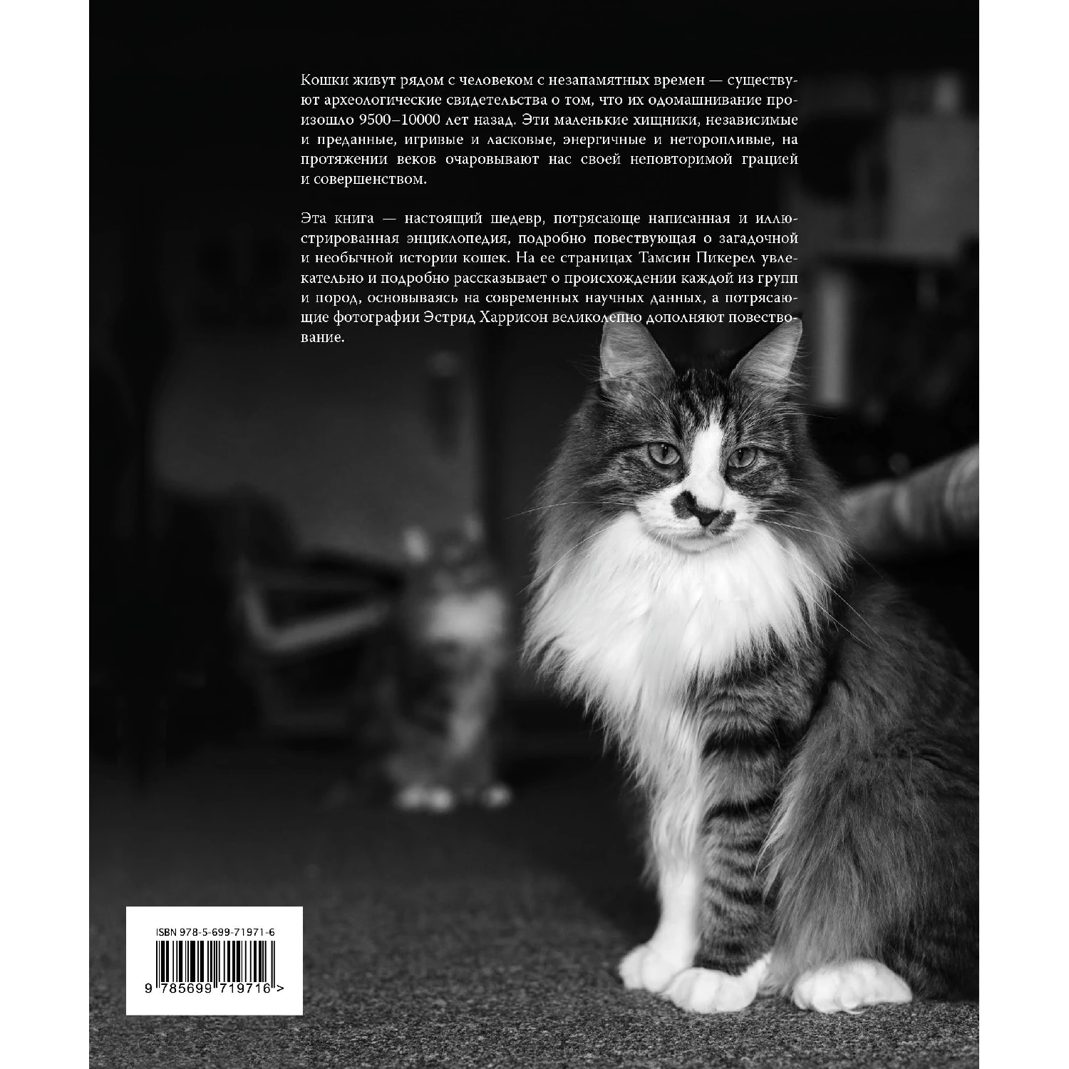 Кошки. Иллюстрированная энциклопедия (Тамсин Пикерел, 978-5-699-71971-6, 288 стр., 12+)