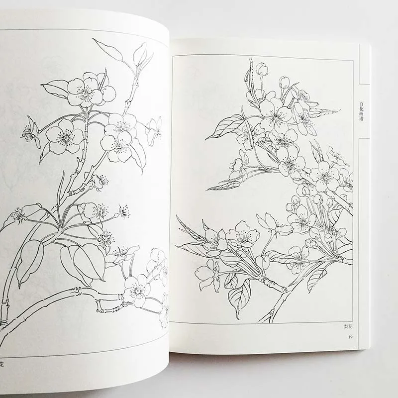 94Pages Chinese Painting Hundred Flowers Line Drawing Collection Art Book Adult Coloring Book Relaxation and Anti-Stress