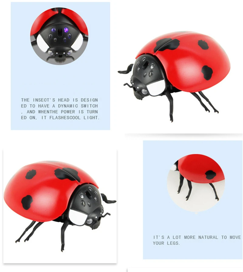 8657923928_1455174769