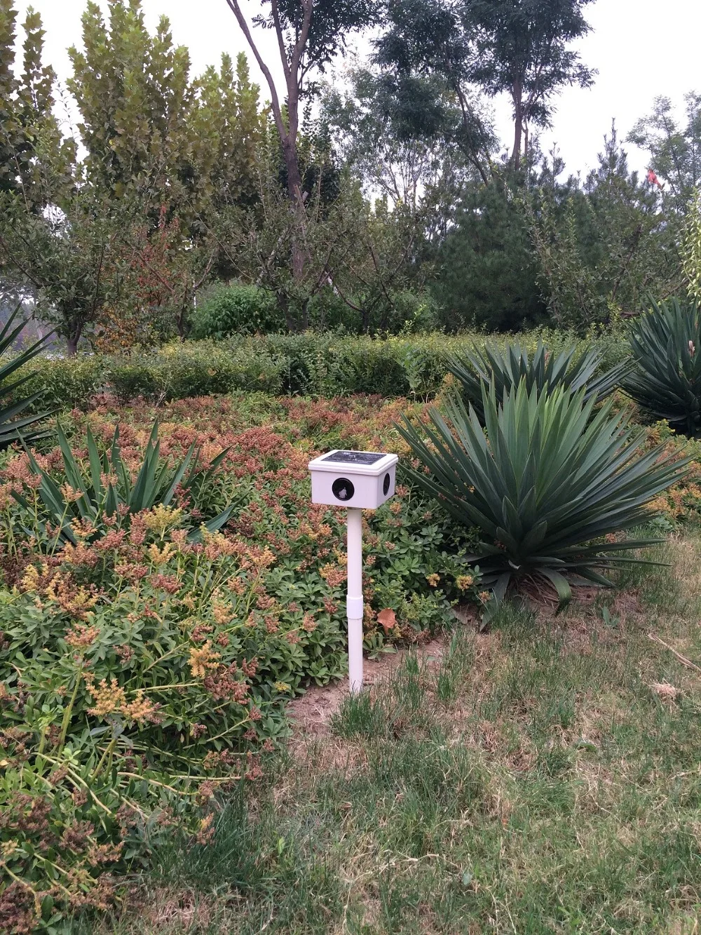 

Solar Power Bird Repeller Repellent Deterrent Pigeon Scarer Strong Ultrasonic Sound Bird Scare Pest Control For Garden Orchard