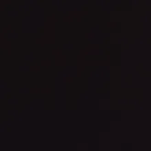 N***n