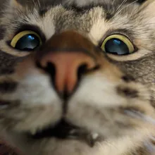 K***h