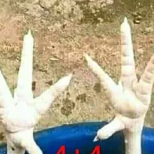 E***A