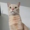M***o