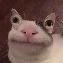 K***K