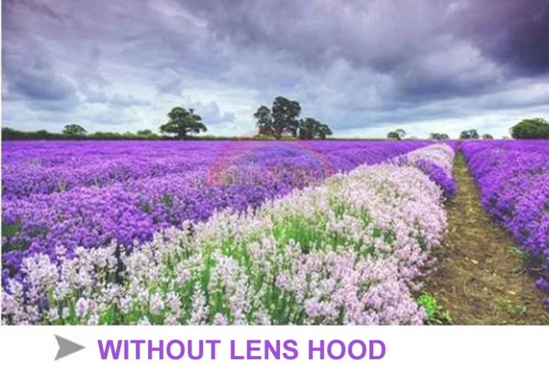 4-WITH LENS HOOD