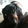 h***h