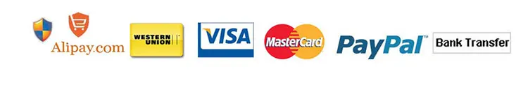 payment way