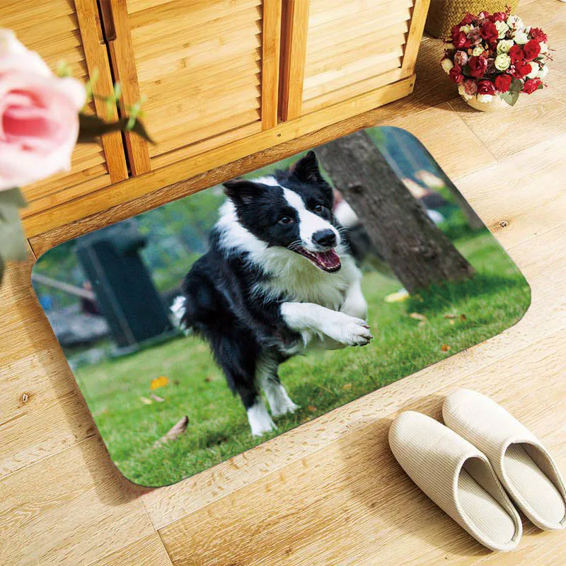 

Cute Border Collie Dog Doormat Coir Door Mat Indoor Outdoor Welcome Floor Mats NEW soft material Modern style 40x60cm antislip