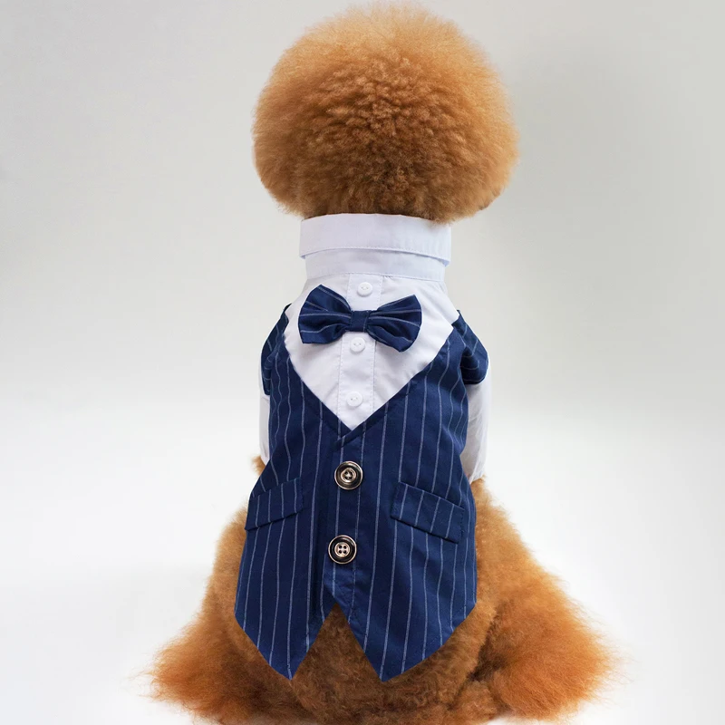 Swallow Tail Dog Suit14