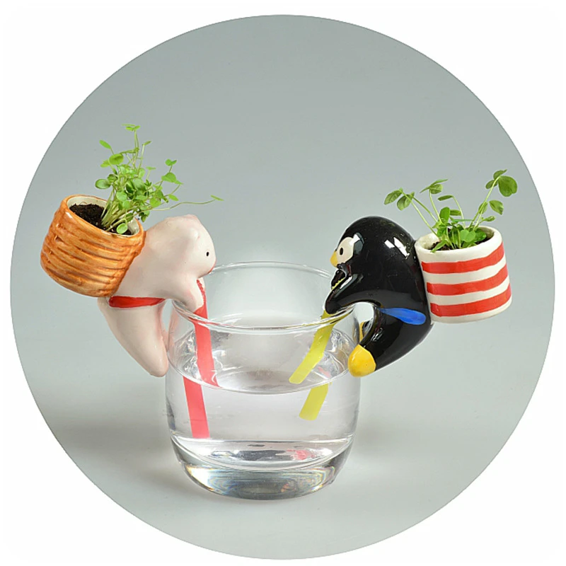 

A906 creative mini water thirst thirsty Xilian home desktop green plants ornaments bonsai wholesale