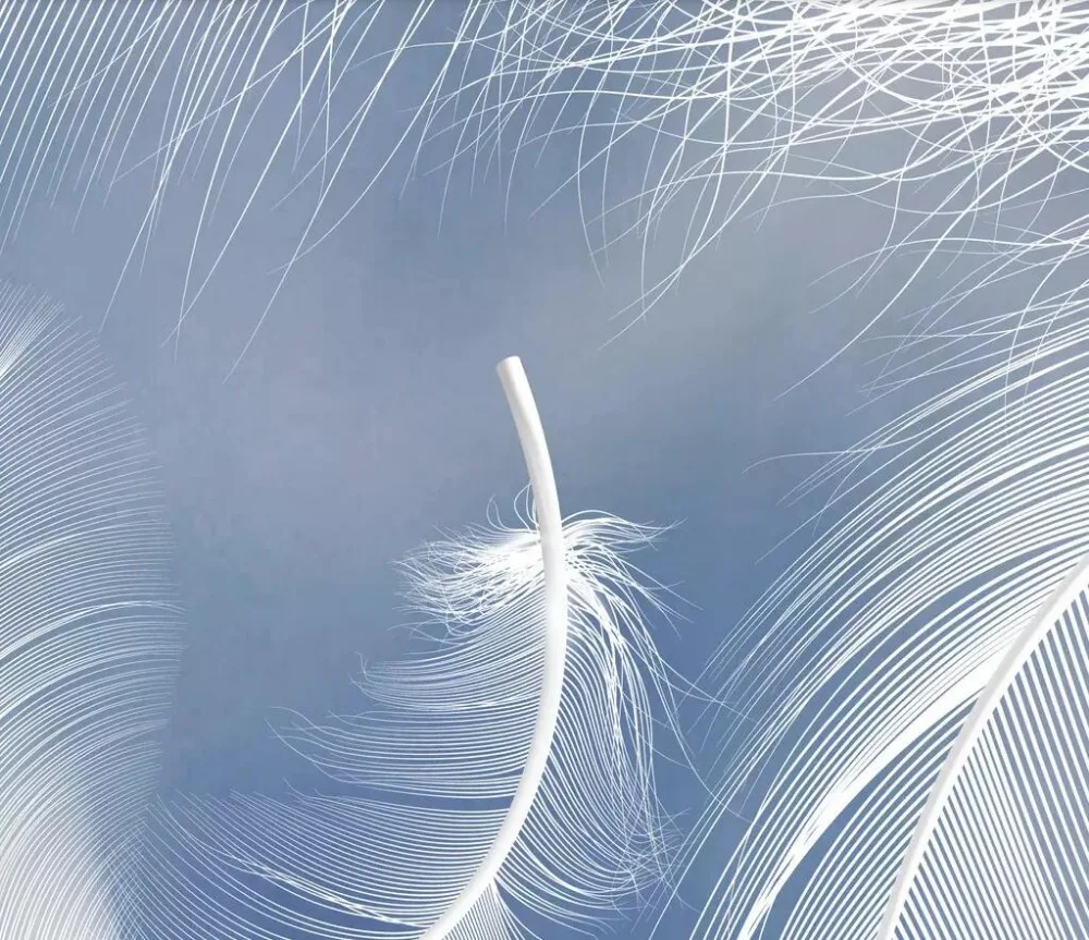 QQ20181016145334