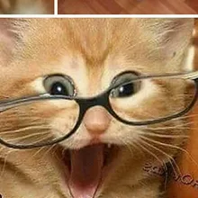H***a