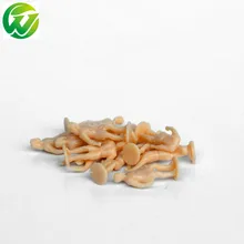 30 шт./партия новая шкала 1: 87 Модель Рисунок кожи окрашенные футбольные люди смолы