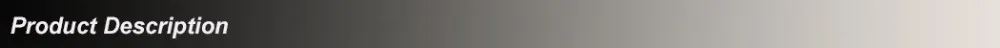DS