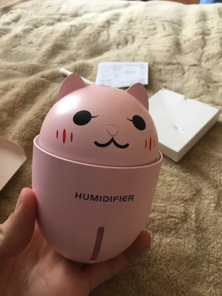 3 in 1 Fan Light Humidifier photo review