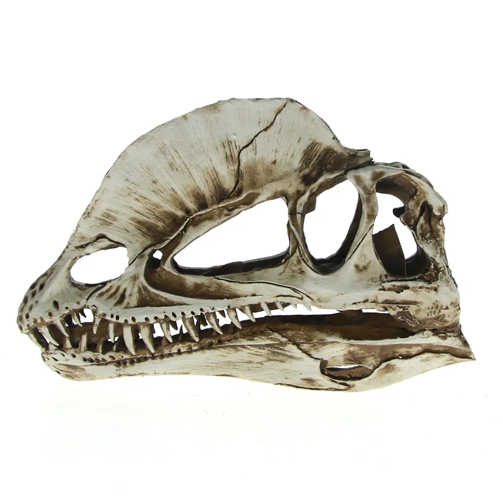 Двойной дракон гребень череп динозавра обучающая модель орнамент Ceratosaurus Смола дилофозавр голова Скелет аквариум домашний декор