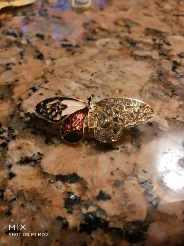 Butterfly Pin