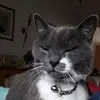 C***f