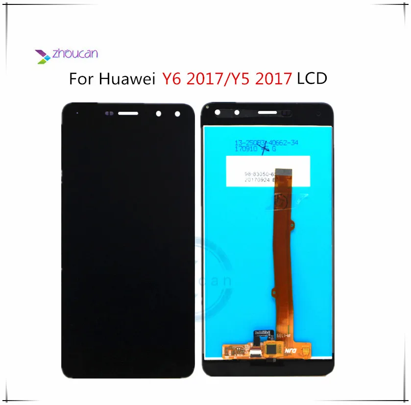  Y6 2017 6