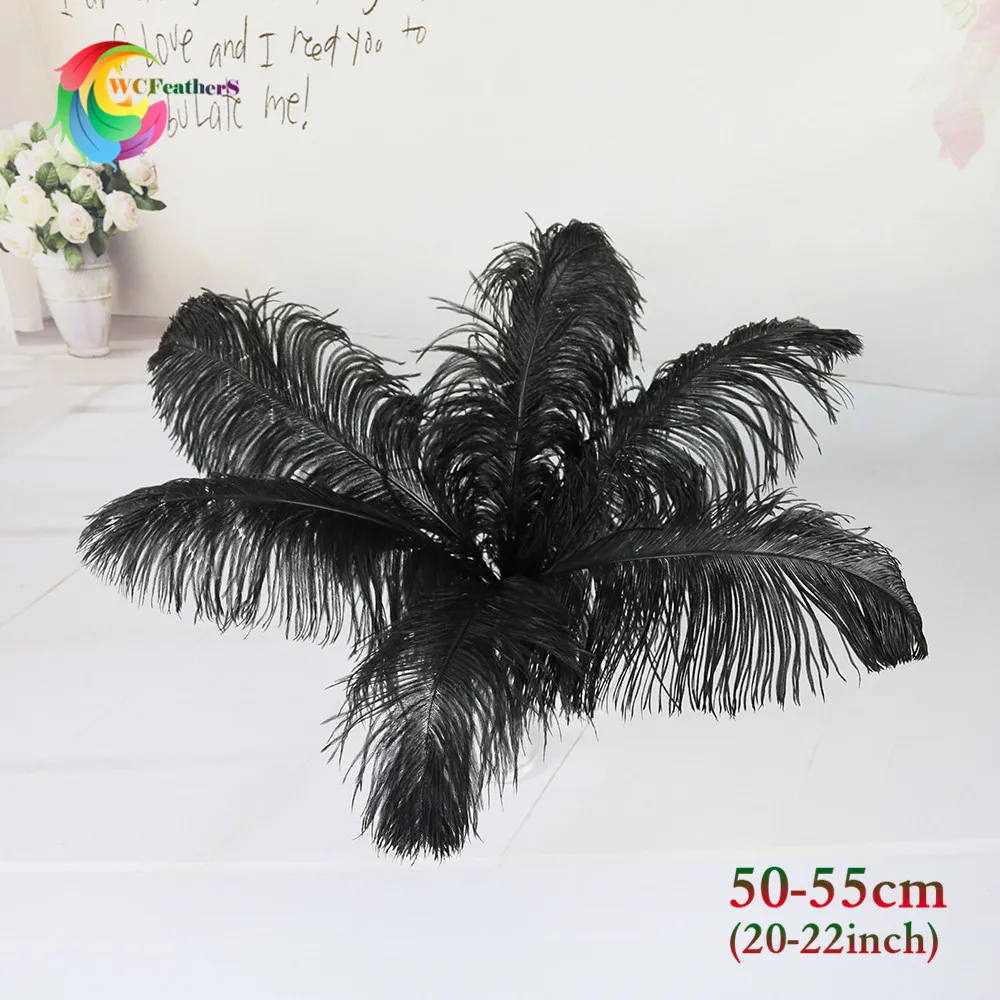  50-55cm  2