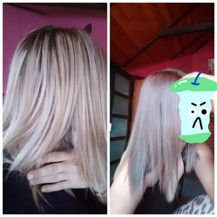 Dye Permanent Punk Light Gray Silver Hair Color Cream