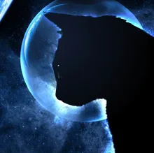 V***v