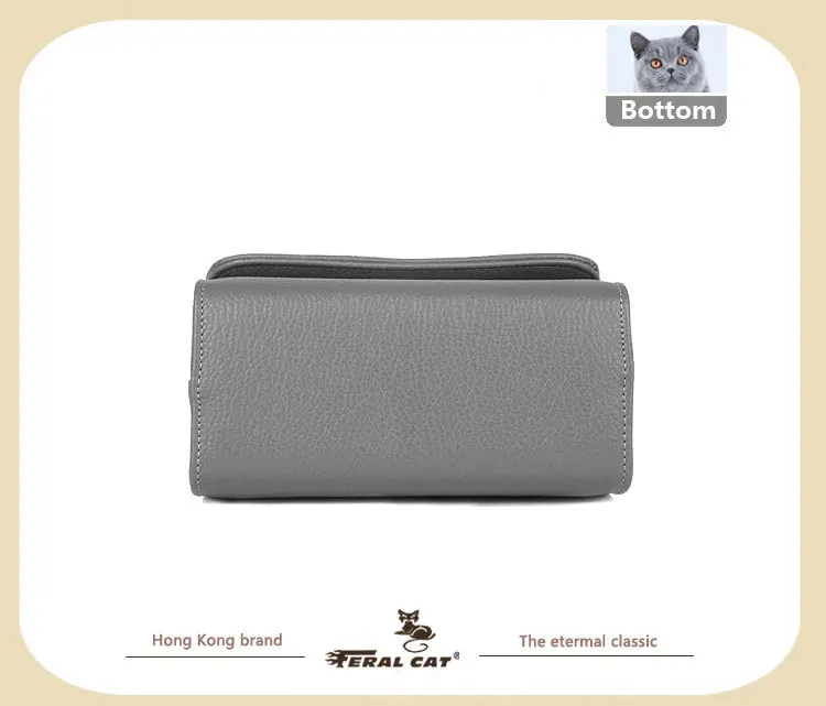 FERAL CAT Fashion Handbag 2017 Women Leather Handbags Luxury Bags Designer High Quality98